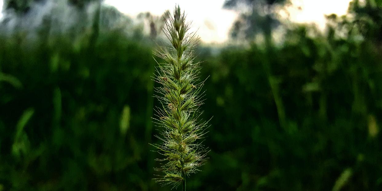Városvezetői közlemény