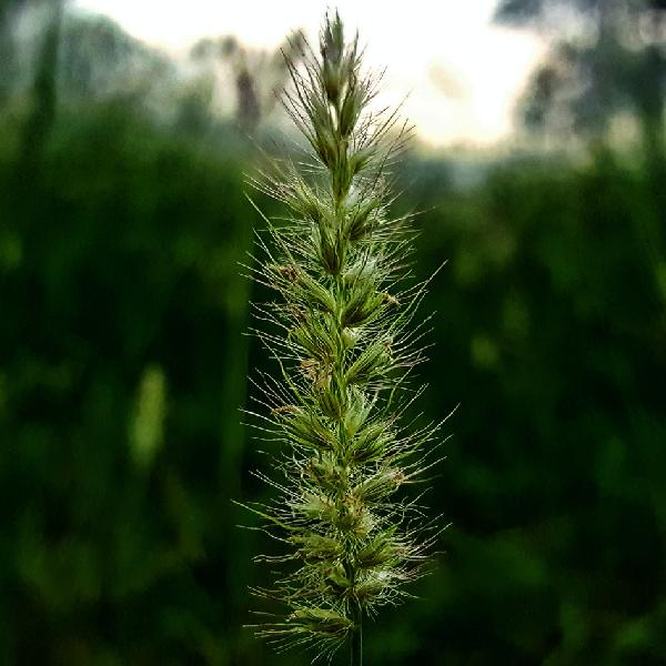 Városvezetői közlemény